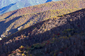 金秋多彩的山坡