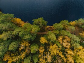 航拍湖边树林风景