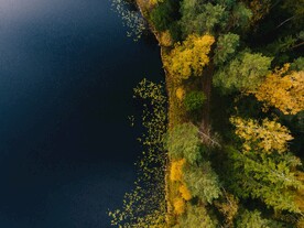 航拍湖边树林风景