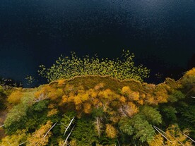 航拍湖边树林风景