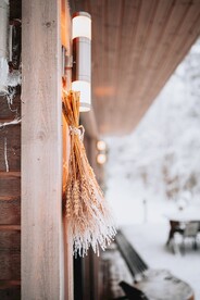 挂在墙上的麦穗