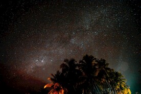 星空和椰子树