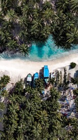 航拍椰子树和海船