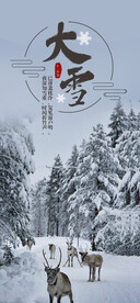 大雪 森林