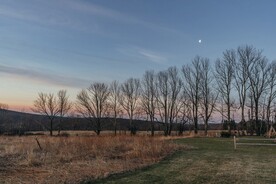 草原上的树木杆和月亮