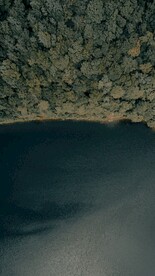 湖边树林鸟瞰图