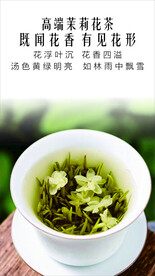 高端茉莉花茶