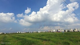 南康镇郊区西瓜地蓝天白云