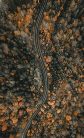 林间道路鸟瞰图