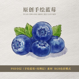 原创手绘蓝莓
