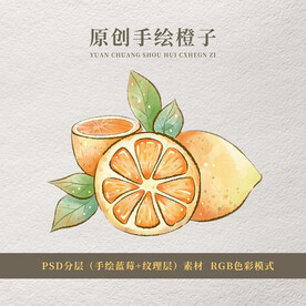 原创手绘橙子