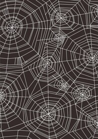 波点蜘蛛网
