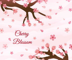 春天樱花的背景