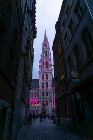 粉红灯光的建筑