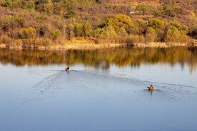深秋湖面的小船