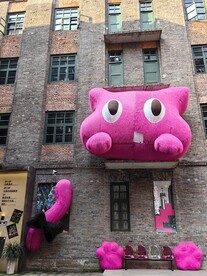 重庆 街道 猫咪