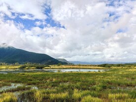 蓝天白云绿草地