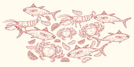 手绘海鲜