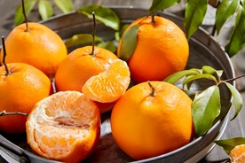 柑橘