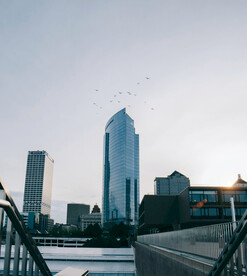 高楼大楼和飞鸟