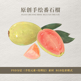 番石榴手绘素材