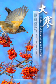 大寒 二十四节气