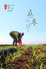 立冬 农业 农事