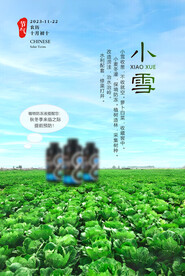 小雪 农业 蔬菜 白菜