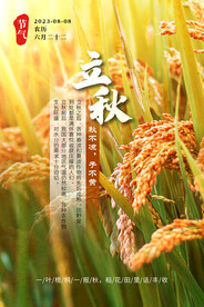 立秋 稻谷 节气