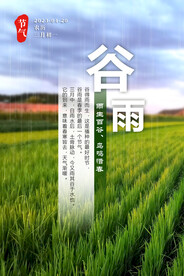 谷雨 节气