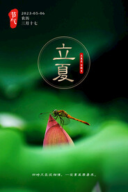 立夏 节气