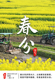 春分 油菜花 春天