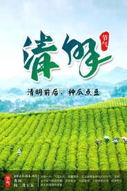 清明 节气