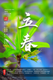 立春 发芽