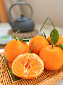 柑橘