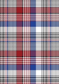 红白蓝格子