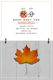 秋分海报