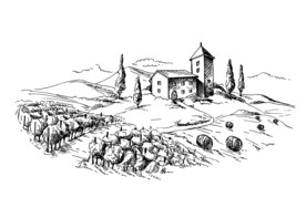 葡萄酒庄园插画