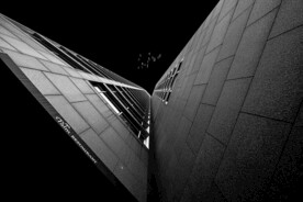 仰拍楼宇和飞鸟