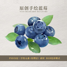 原创手绘蓝莓