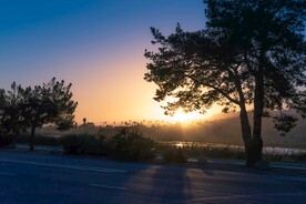 路边的日出风景
