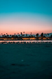 海边夜景和海鸟