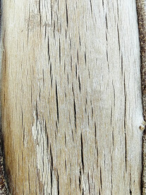 木纹素材