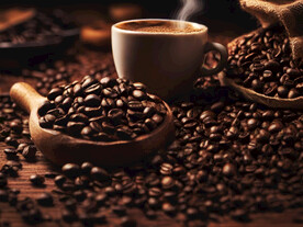 咖啡豆新手指南