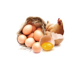 鸡蛋