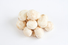 高端食材美食拍摄