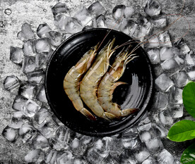 高端食材美食拍摄