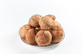 高端食材美食拍摄