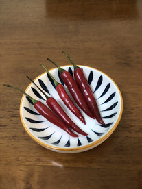 指天椒 辣椒
