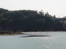 广西柳州柳城凤山蚂拐岛